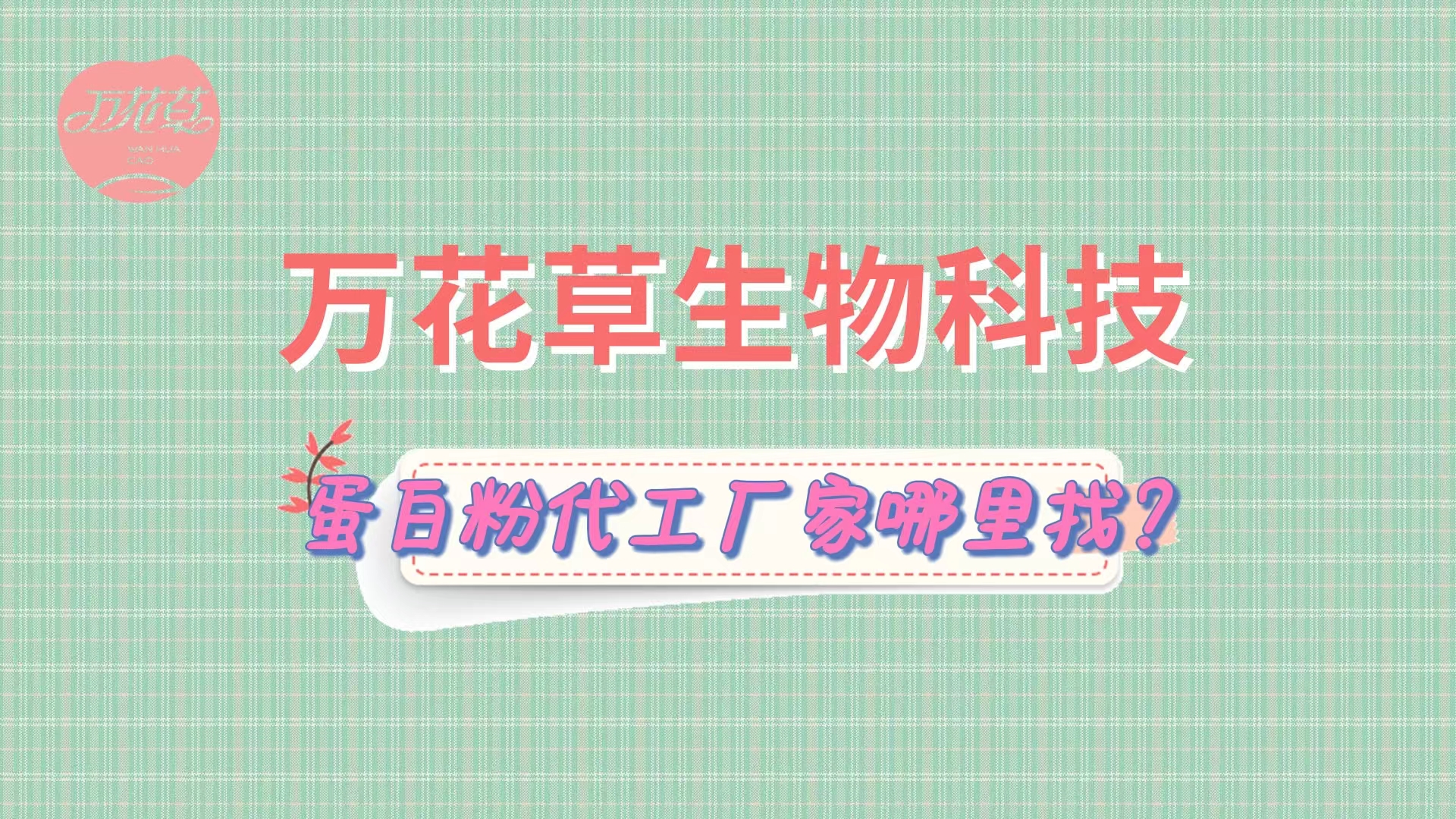 蛋白粉代加工，怎么找專業(yè)源頭廠家？