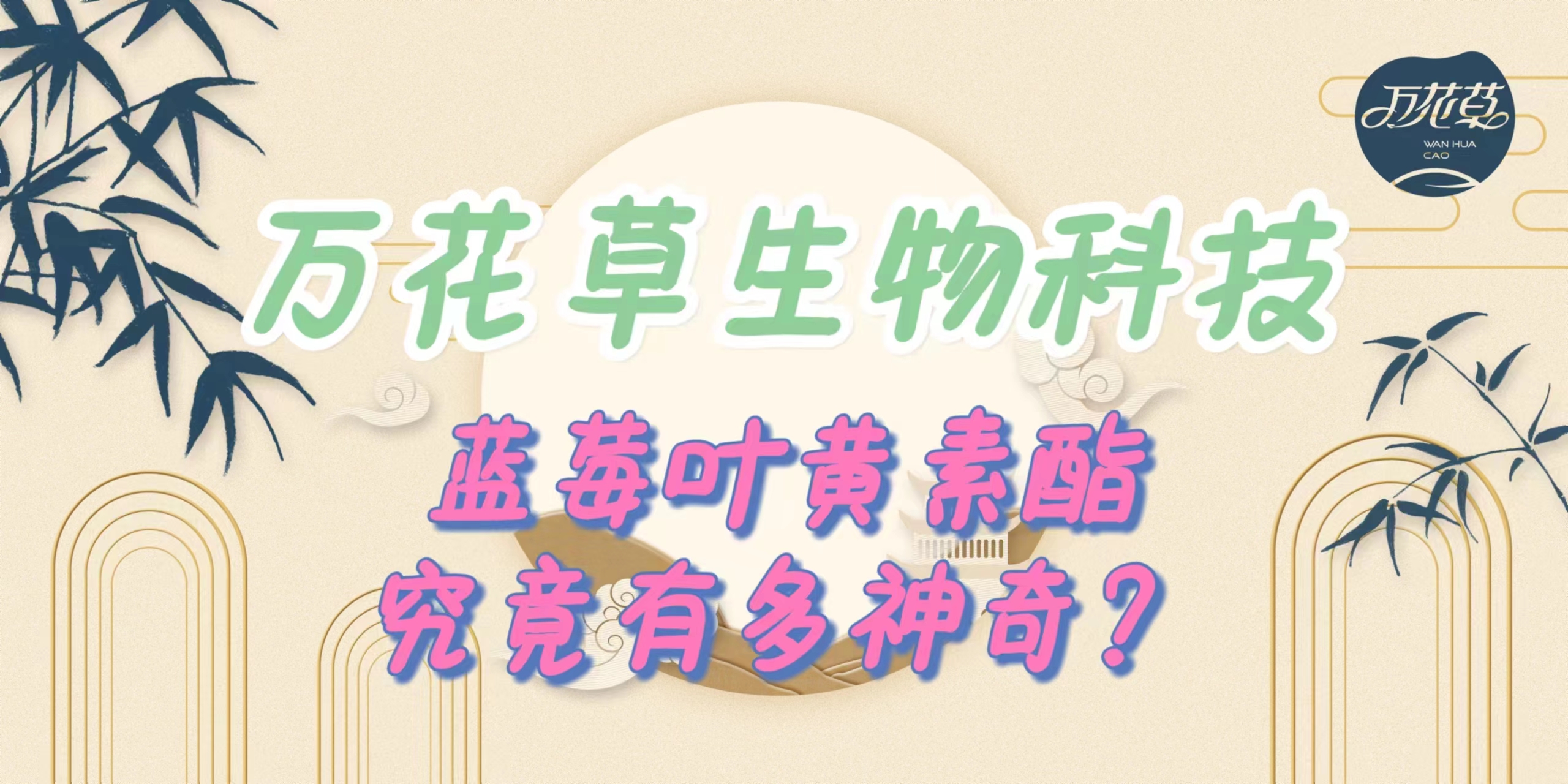 升級(jí)配方，重磅出擊，萬(wàn)花草藍(lán)莓葉黃素酯究竟有多神奇？